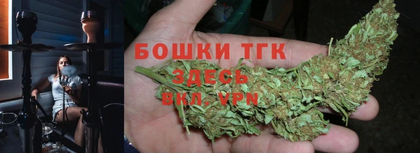 PSILOCYBIN Аша