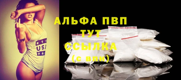 прущий лед Михайлов