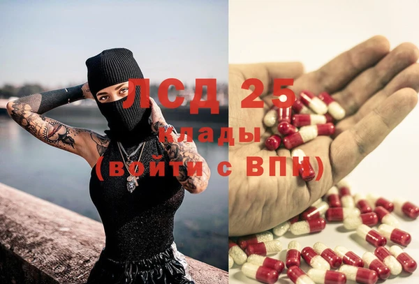 спиды Наволоки