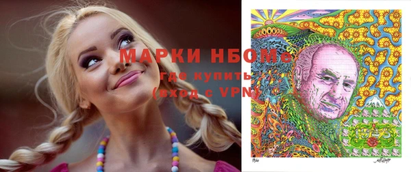дмт Кодинск