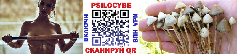 Галлюциногенные грибы прущие грибы Энем